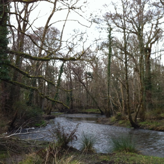 River Deenagh
